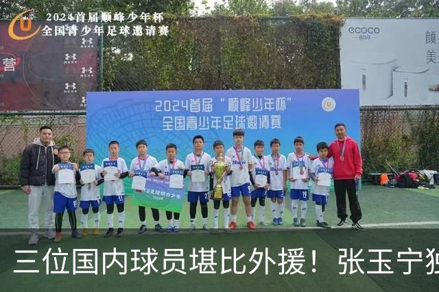 三位国内球员堪比外援！张玉宁独一档，韦世豪缺席，令成都迟迟未夺冠