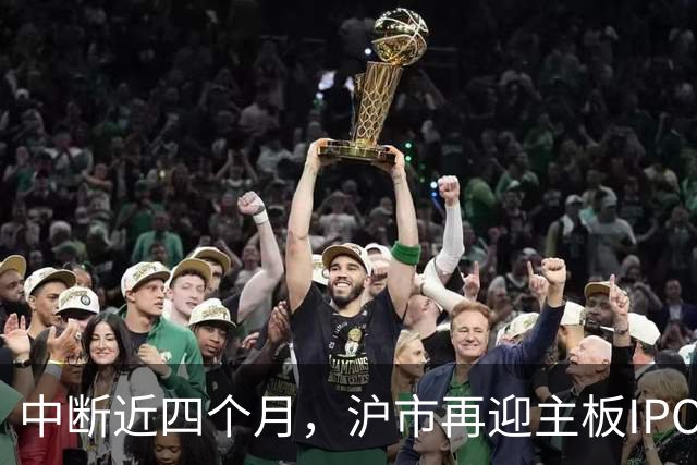中断近四个月，沪市再迎主板IPO企业上会受审，业绩承压之下，“不差钱”的保伦股份能否闯关成功？