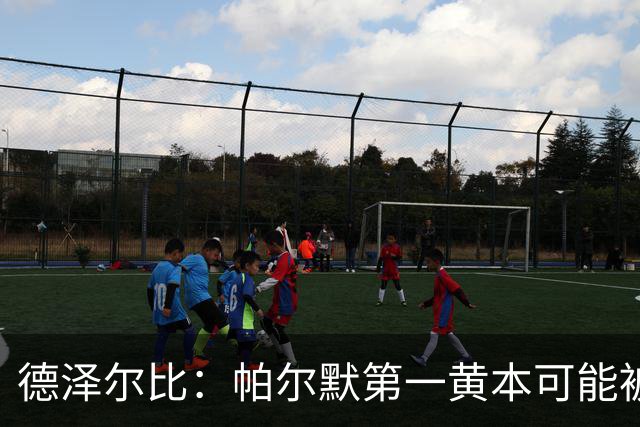 德泽尔比：帕尔默第一黄本可能被直接罚下，但这不是问题