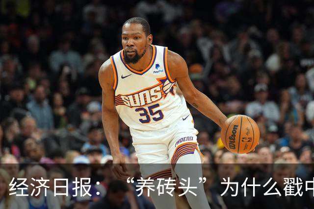 经济日报:“养砖头”为什么戳中年轻人?